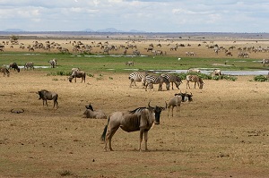 Kenya
